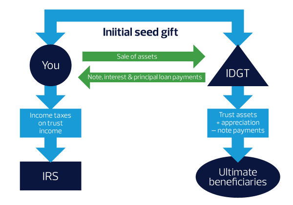 Initial seed gift diagram